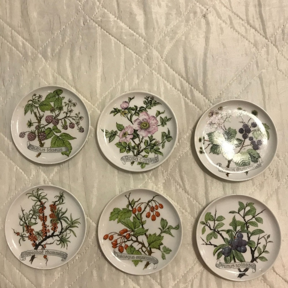 6 Kaiser‎ W. Germany Floral Mini 4" Plate/coaster